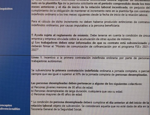 CONVOCATORIA DE SUBVENCIONES DE EMPLEO 2026